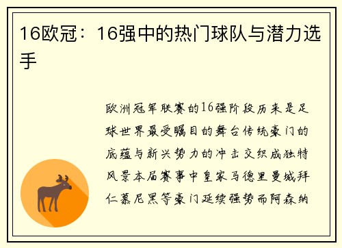 16欧冠：16强中的热门球队与潜力选手